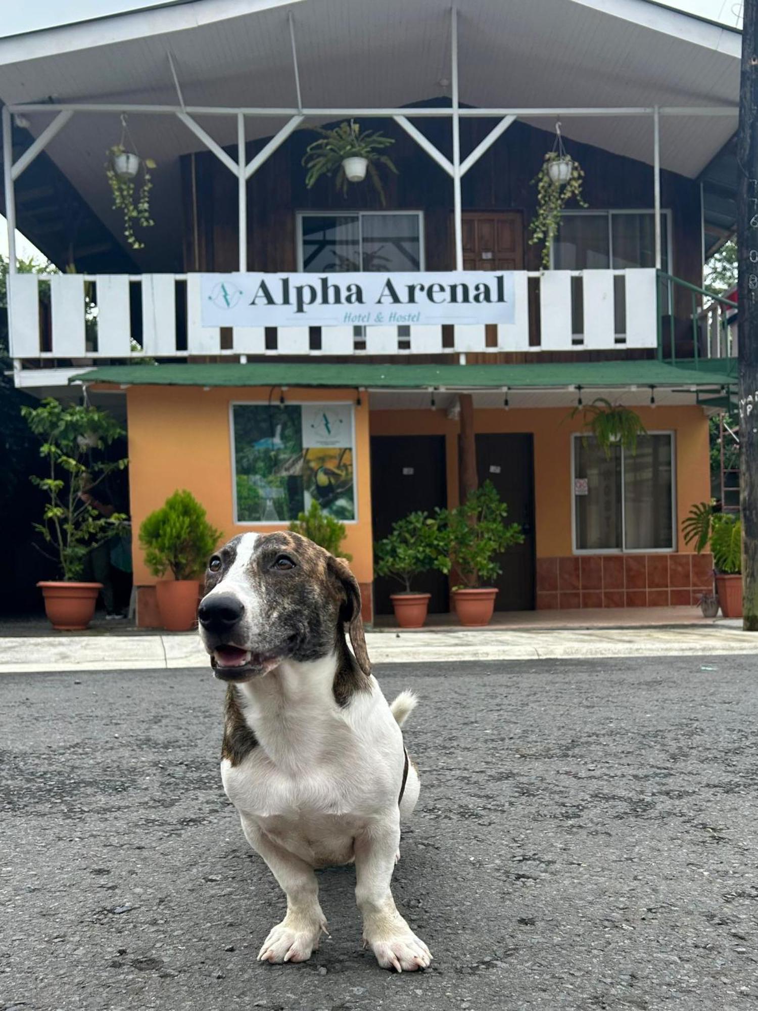 A Pousada Alpha Arenal La Fortuna Exterior foto